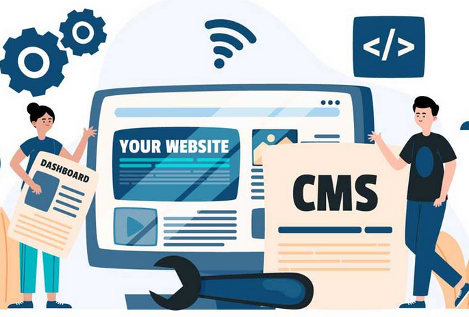 CMS Development